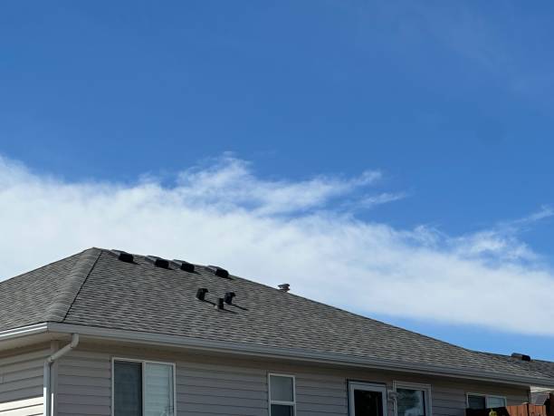 Best Metal Roofing Installation  in South Padre Island, TX